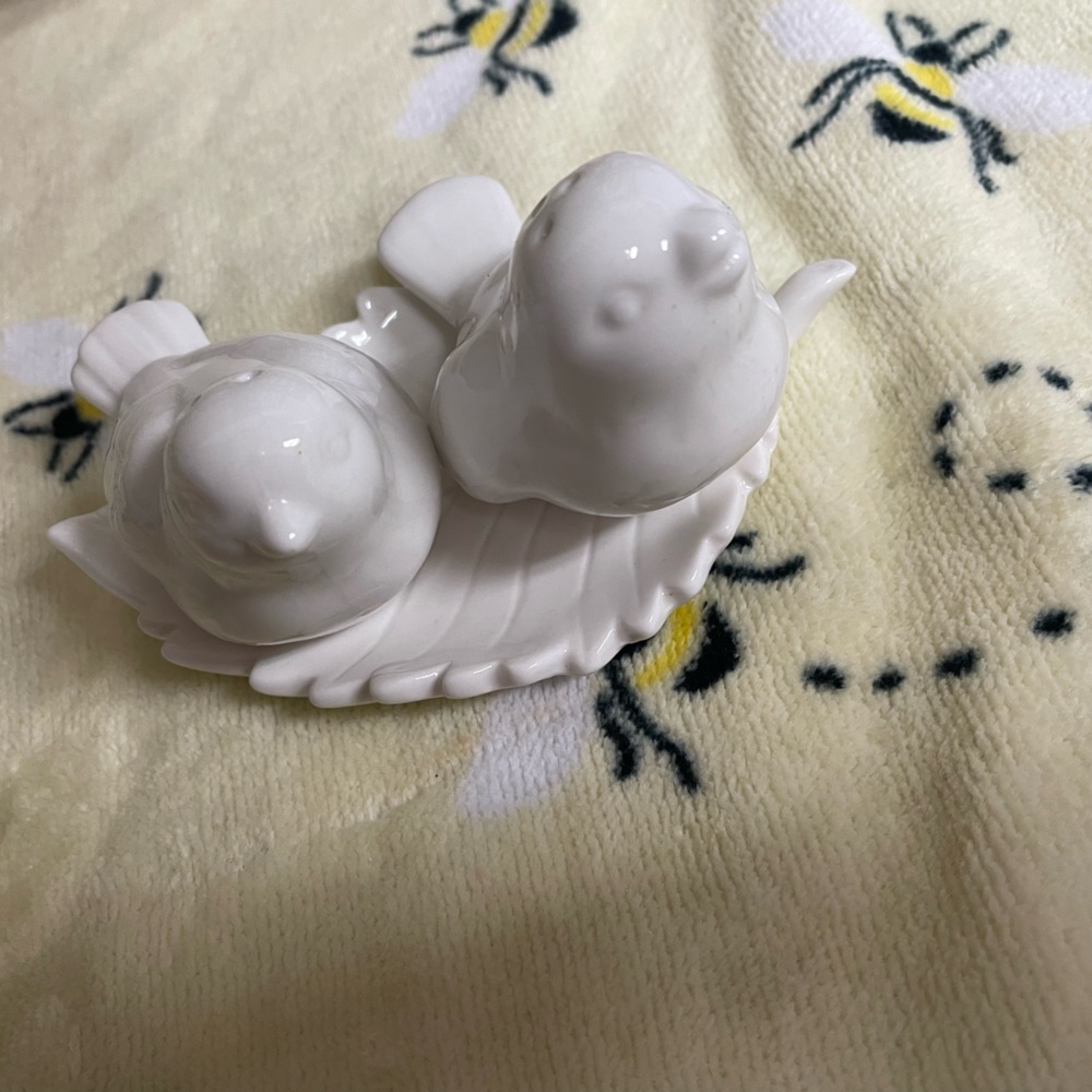 Salt and pepper shakers 🕊️🍃